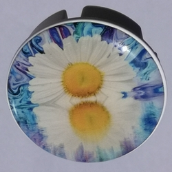 MS-10-Blume_blauweiss
