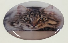 Steckel-Motiv Ver03_Katze_22