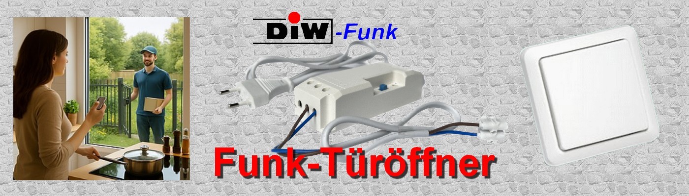 DIW-Funk Türöffner-Modul FTO-2090-W mit Intertechno Funkwandsender YWT-8500