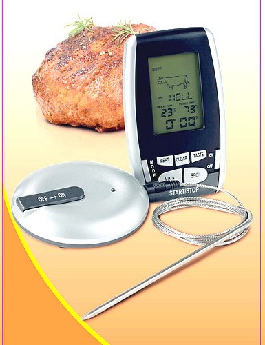 Digitales Funk-Einstich-Thermometer bis 250°C